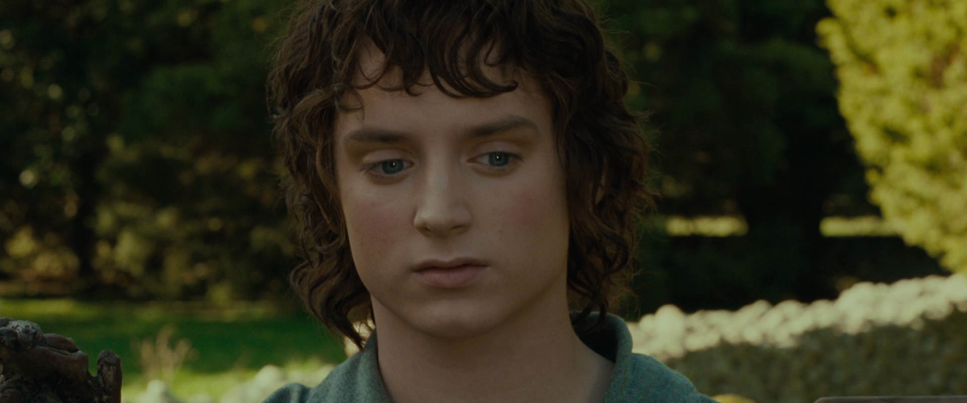 The Lord of the Rings: The Fellowship of the Ring (2001) movie still 1390