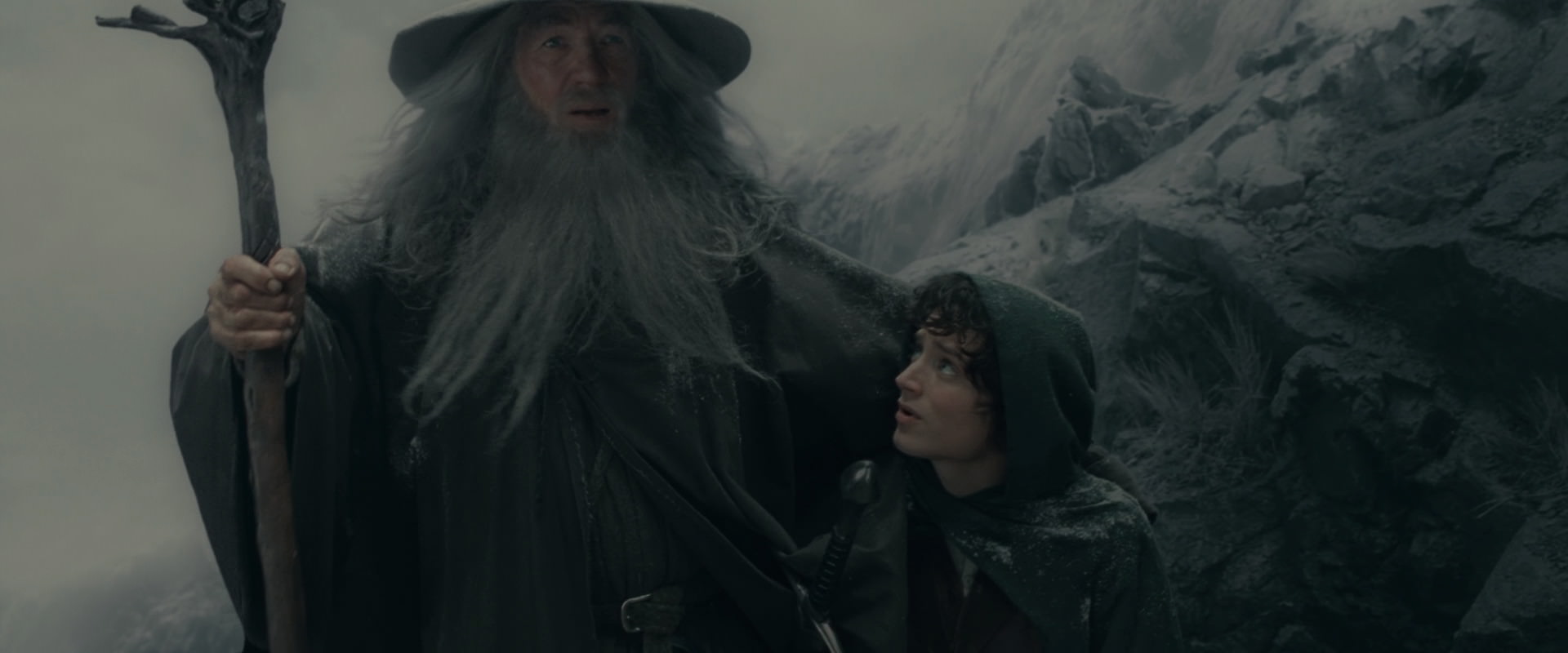 The Lord of the Rings: The Fellowship of the Ring (2001) screencap 13905