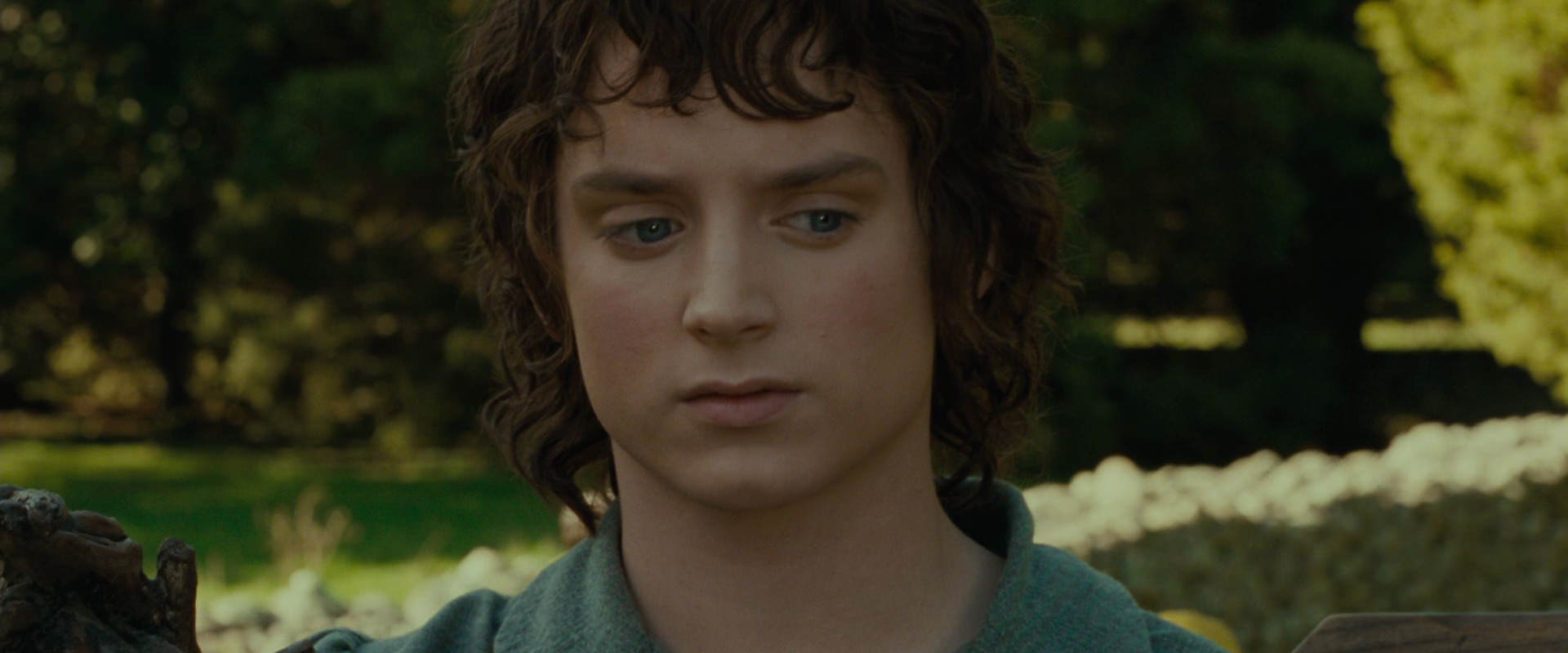 The Lord of the Rings: The Fellowship of the Ring (2001) HD screenshot 1391