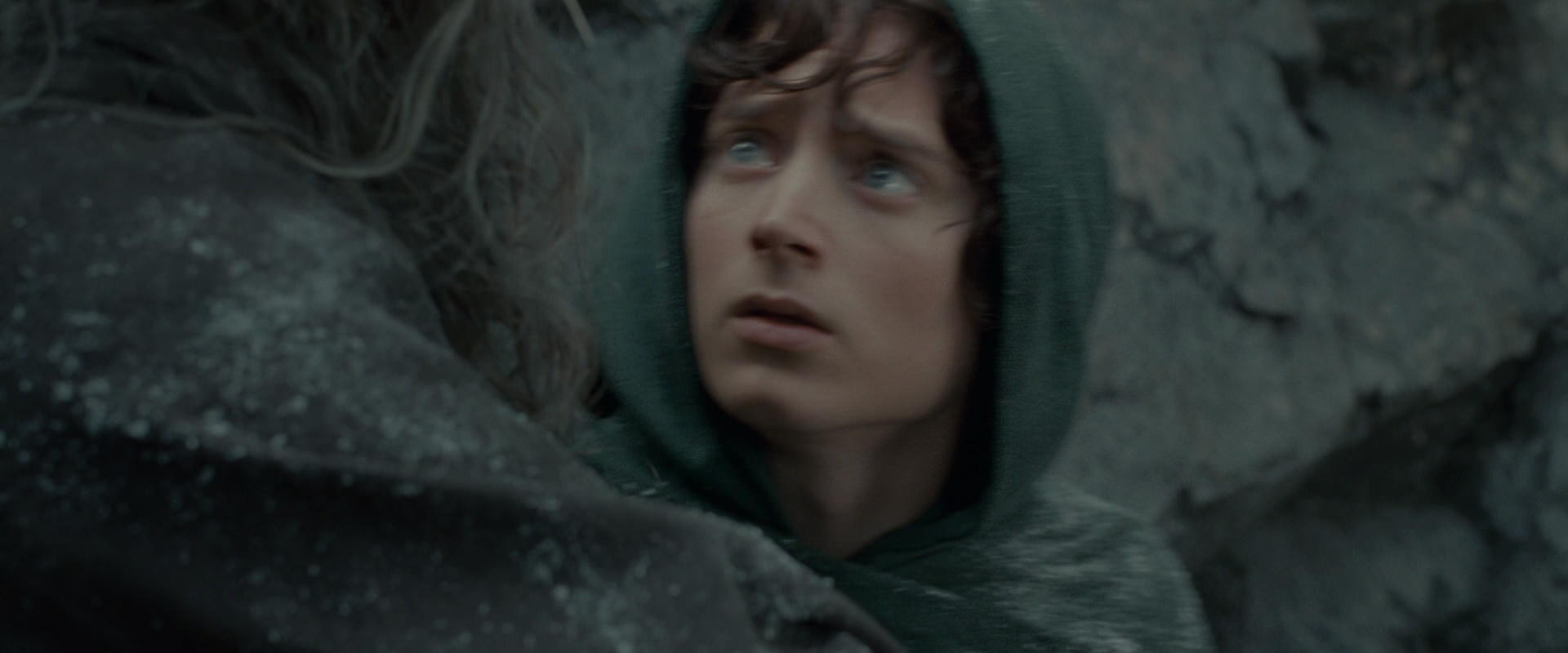 The Lord of the Rings: The Fellowship of the Ring (2001) screencap 13911