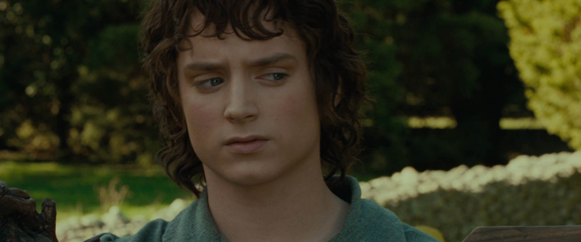 The Lord of the Rings: The Fellowship of the Ring (2001) screencap 1392