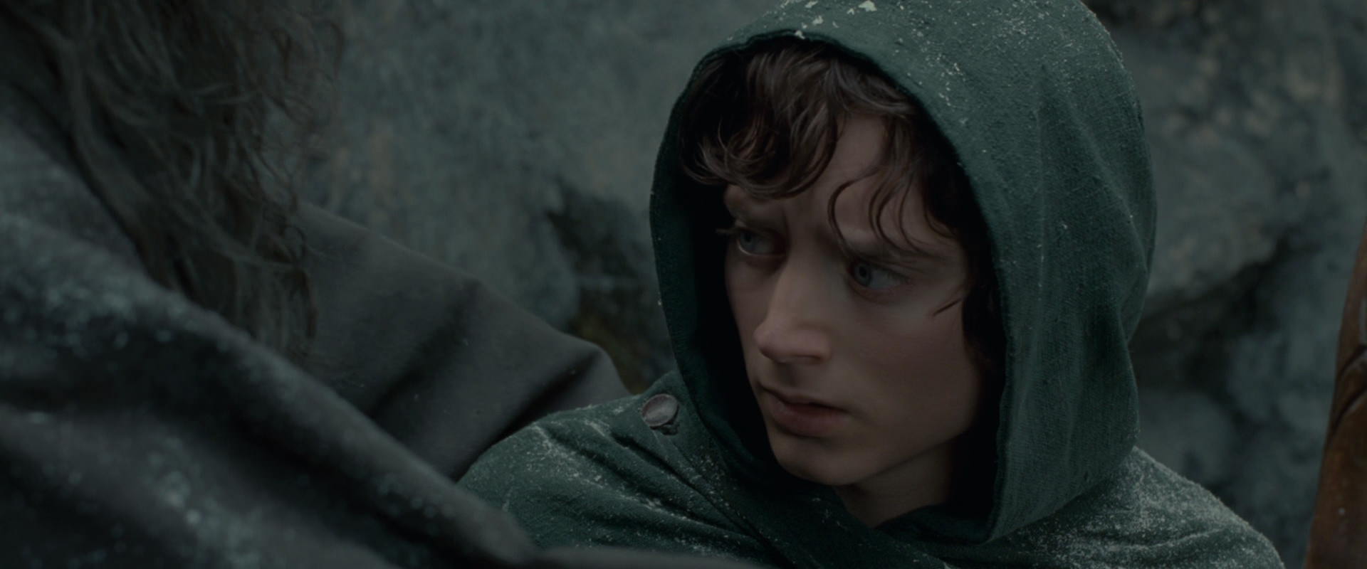 The Lord of the Rings: The Fellowship of the Ring (2001) screencap 13926