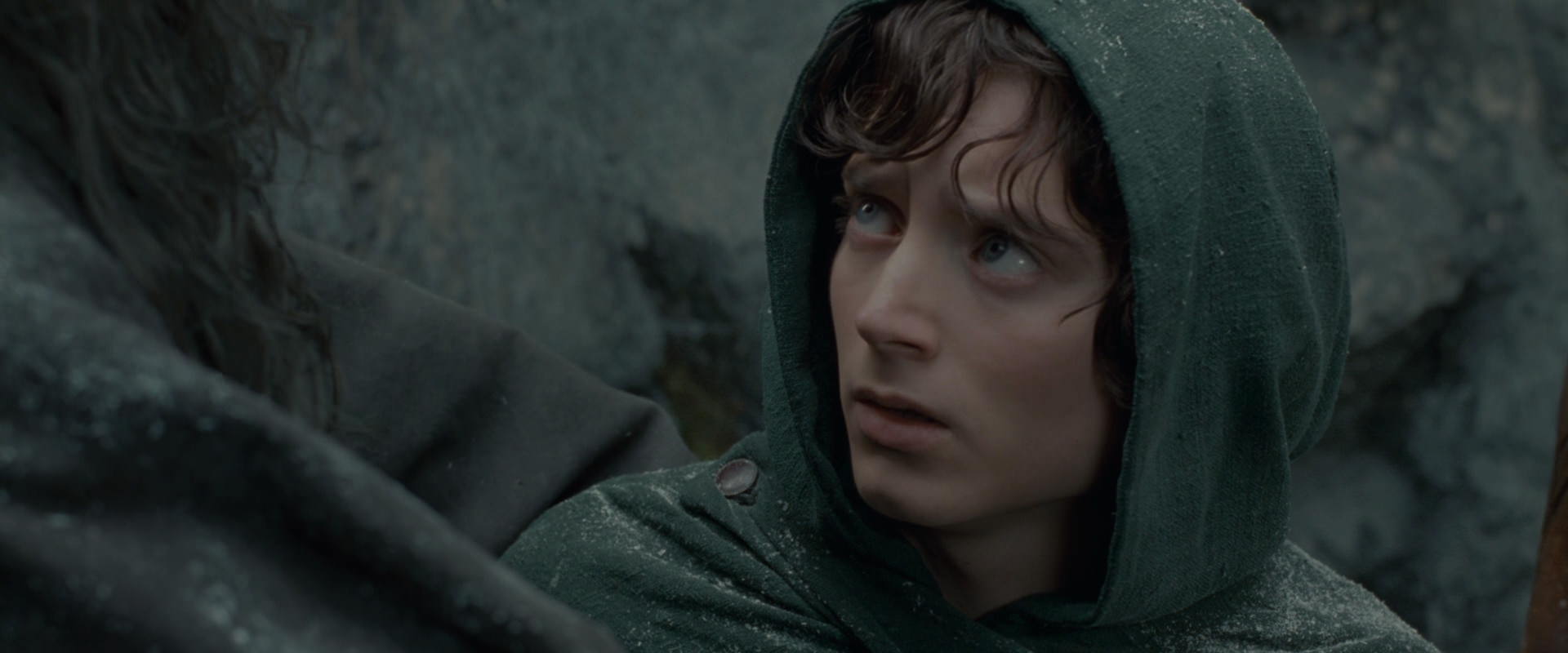 The Lord of the Rings: The Fellowship of the Ring (2001) screencap 13929