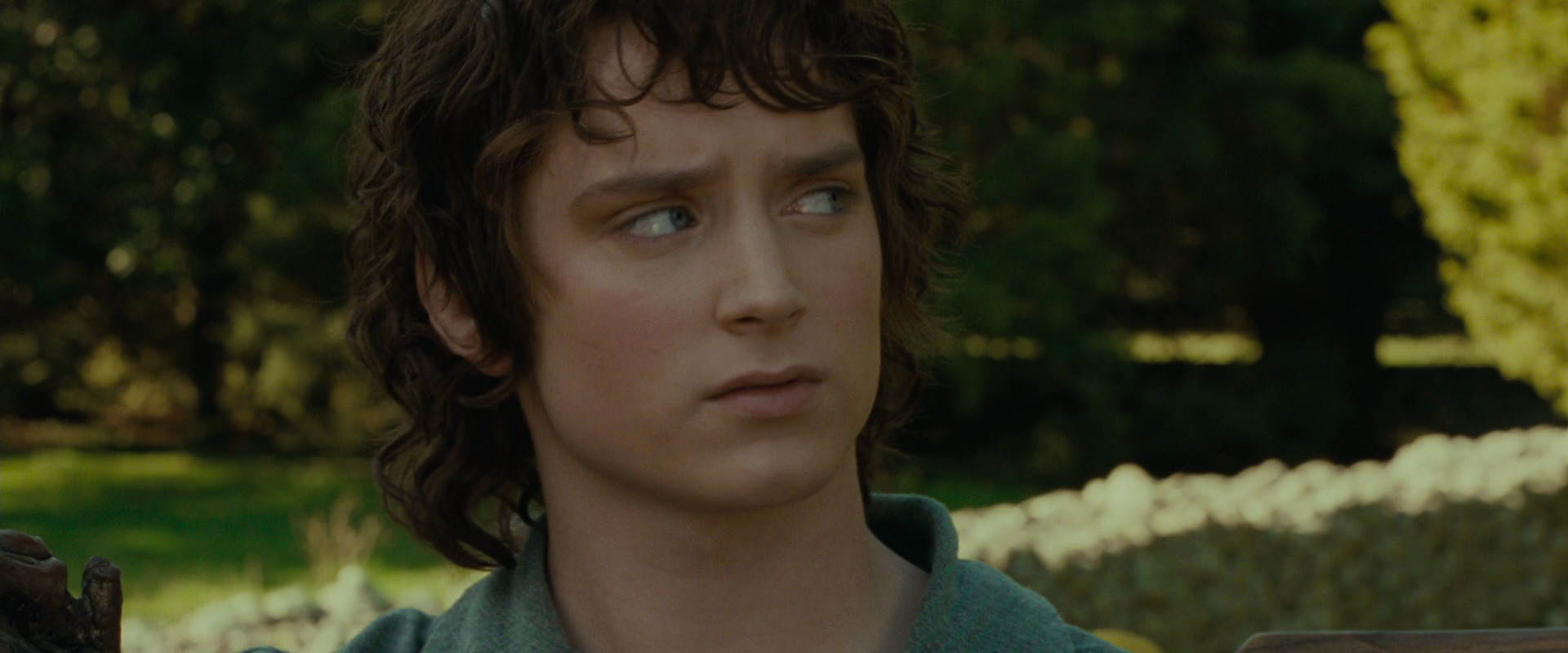 The Lord of the Rings: The Fellowship of the Ring (2001) movie still 1393