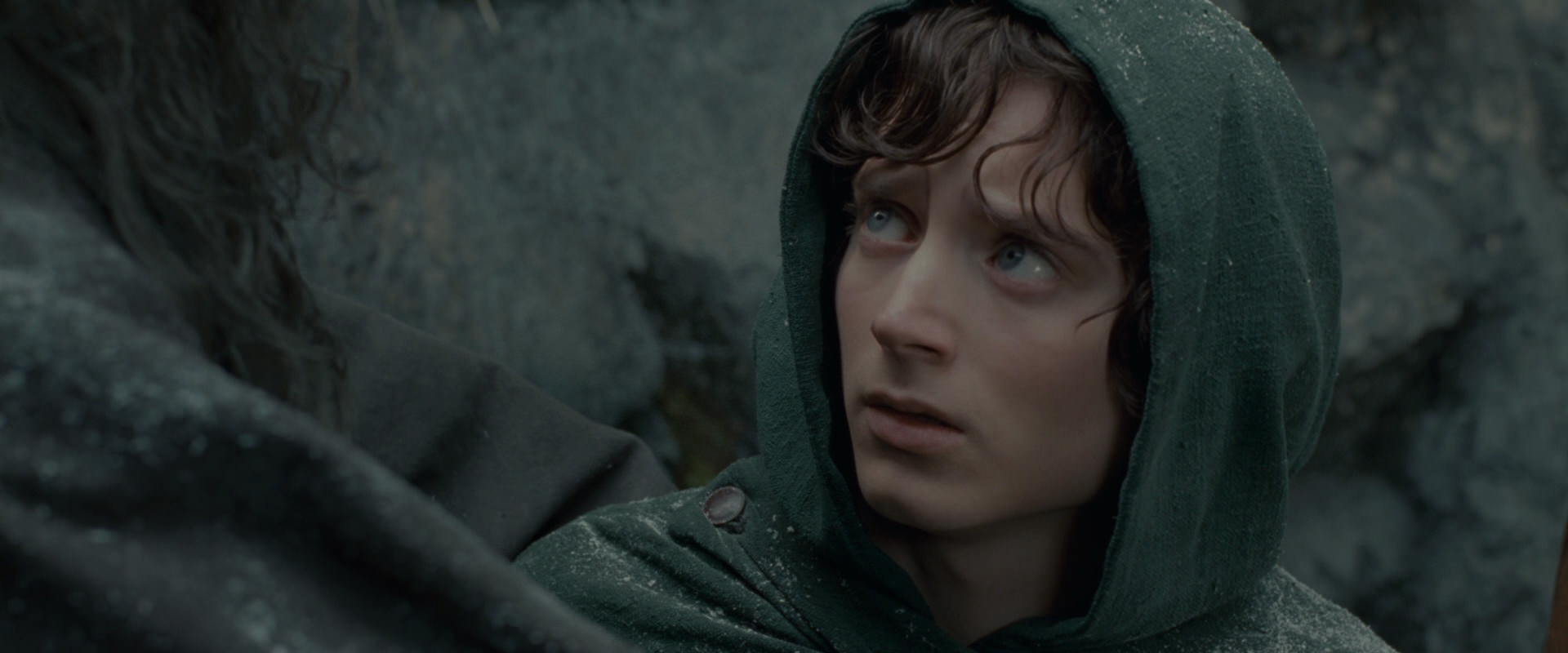The Lord of the Rings: The Fellowship of the Ring (2001) screencap 13932