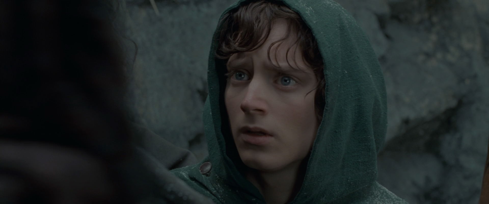 The Lord of the Rings: The Fellowship of the Ring (2001) screencap 13938