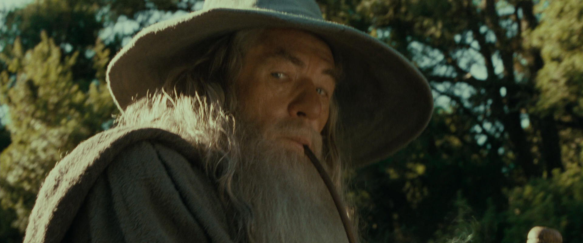 The Lord of the Rings: The Fellowship of the Ring (2001) HD screenshot 1394
