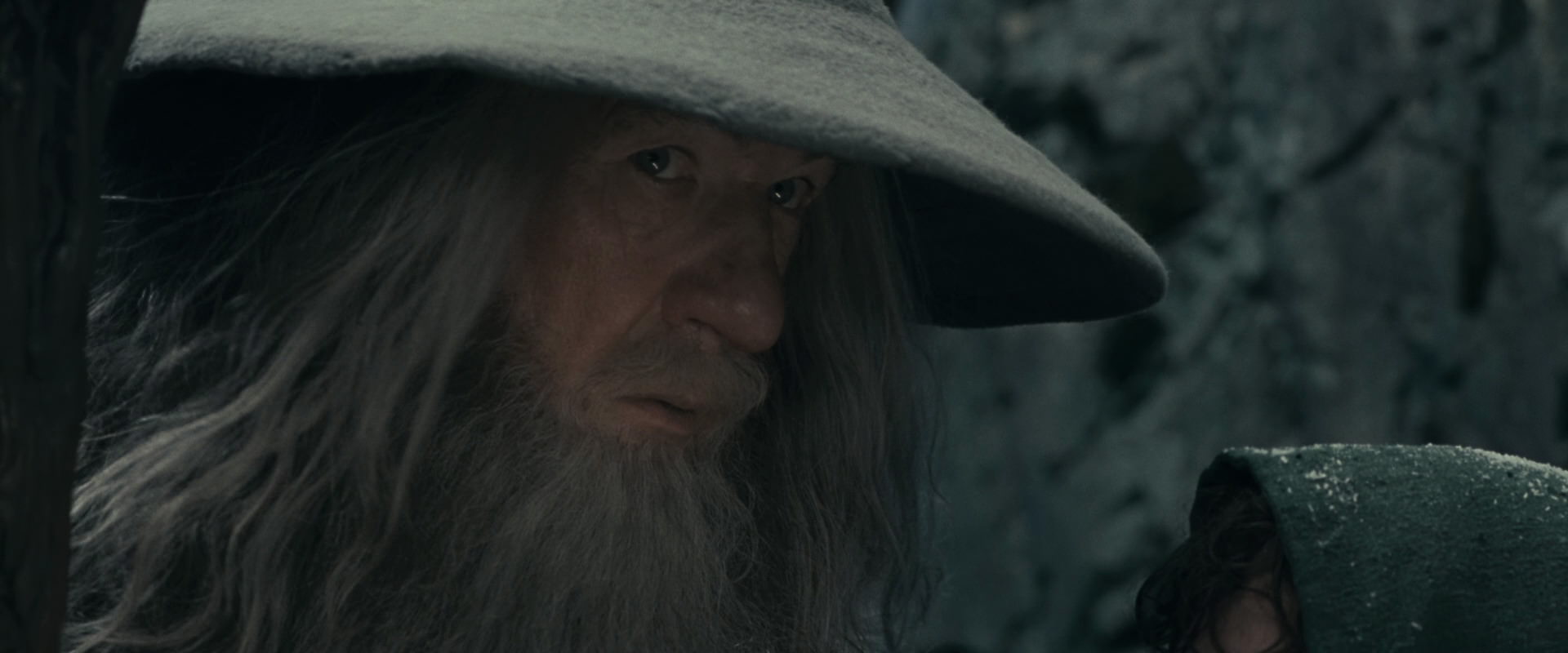 The Lord of the Rings: The Fellowship of the Ring (2001) screencap 13941