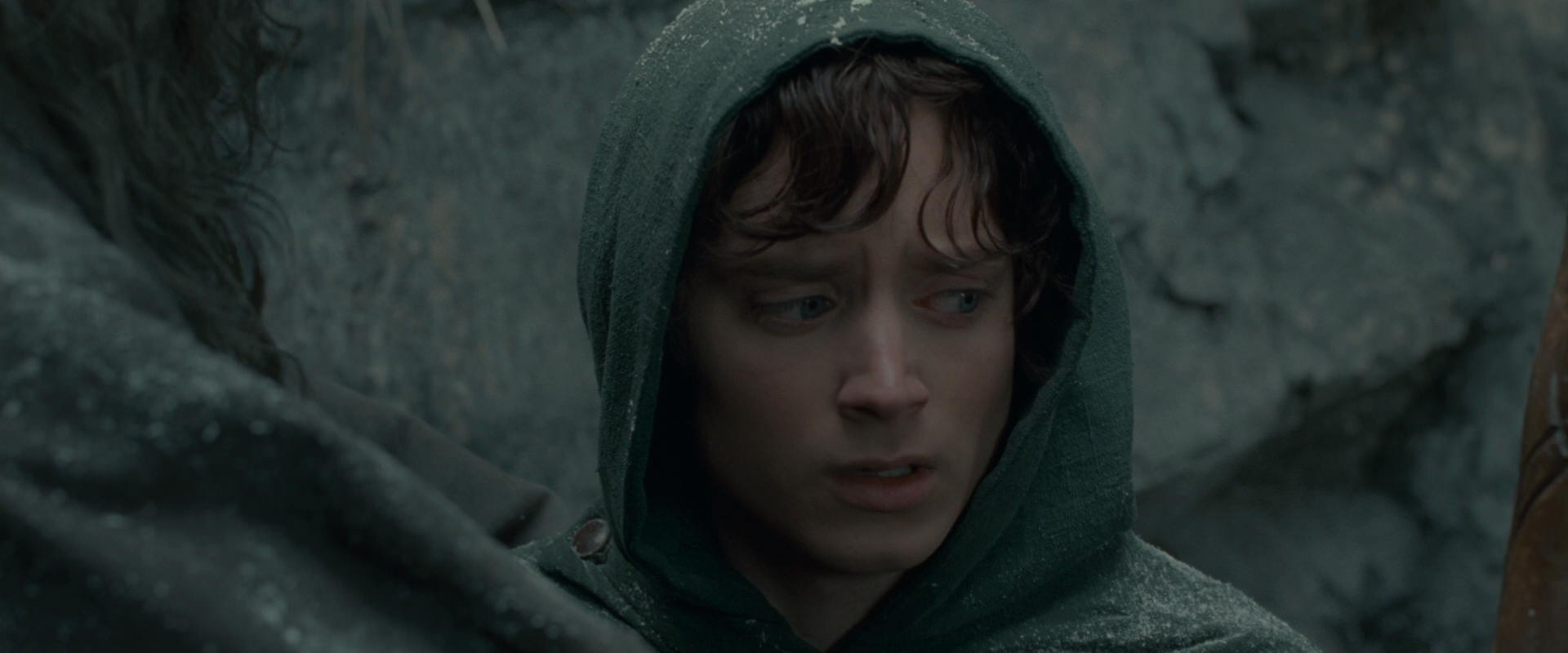 The Lord of the Rings: The Fellowship of the Ring (2001) movie still 13942