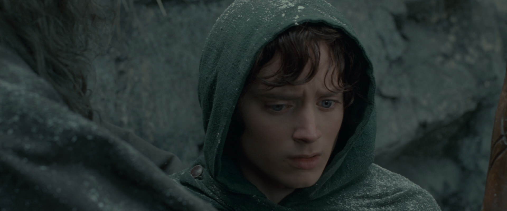 The Lord of the Rings: The Fellowship of the Ring (2001) screencap 13944