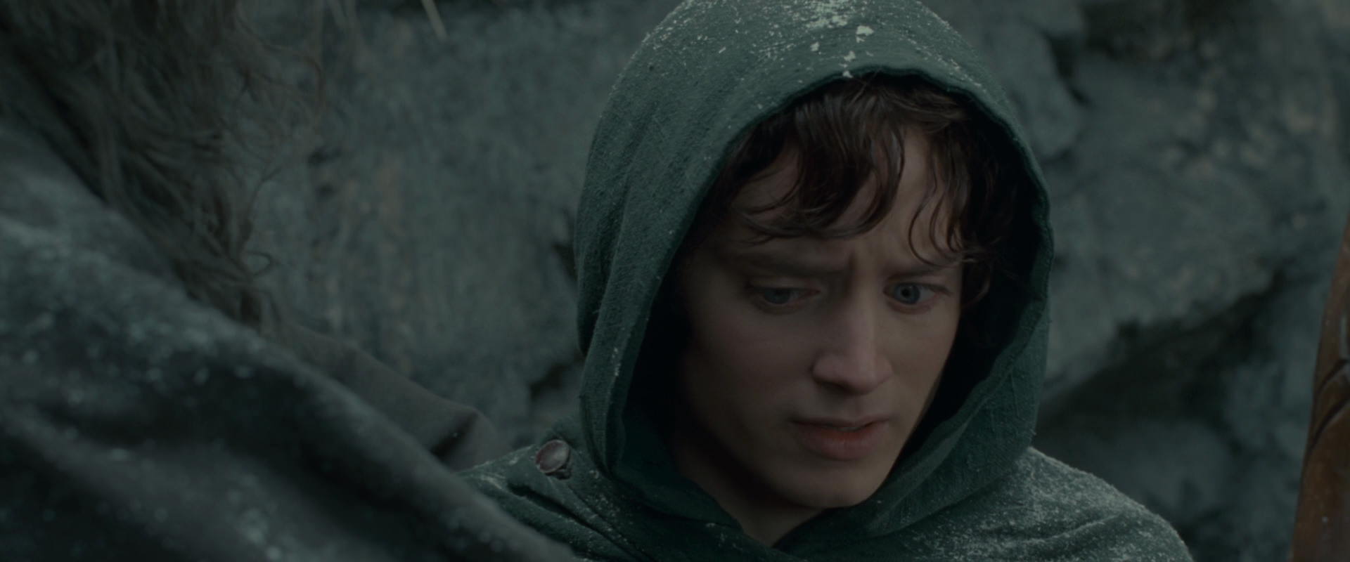 The Lord of the Rings: The Fellowship of the Ring (2001) movie still 13945