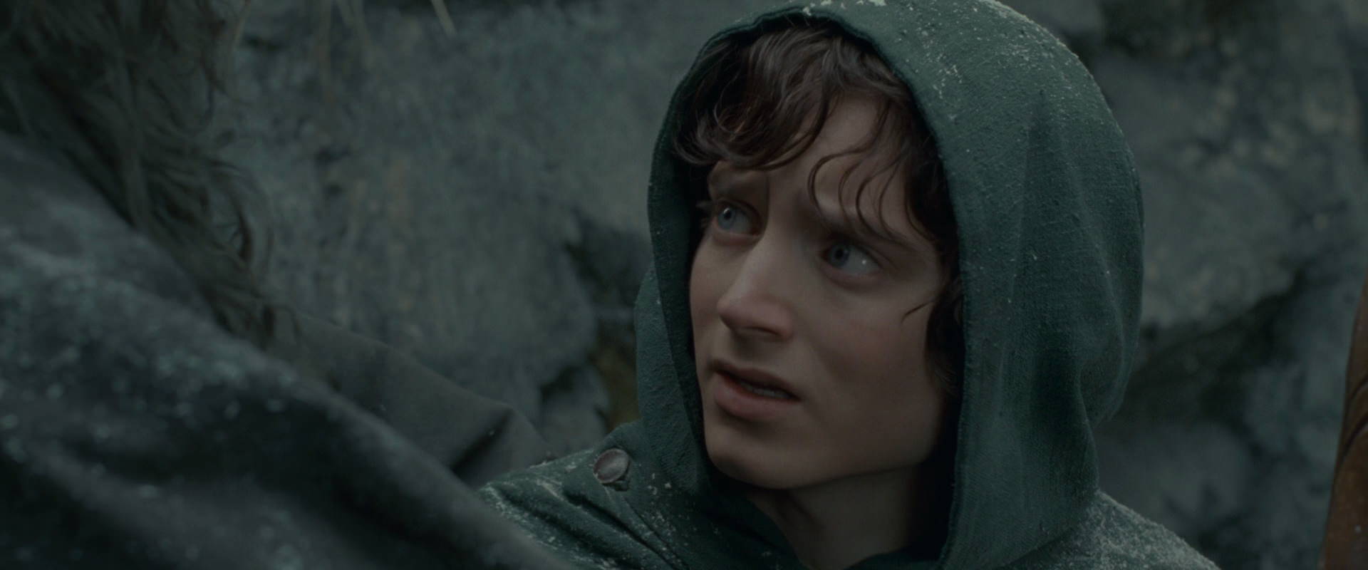 The Lord of the Rings: The Fellowship of the Ring (2001) screencap 13947