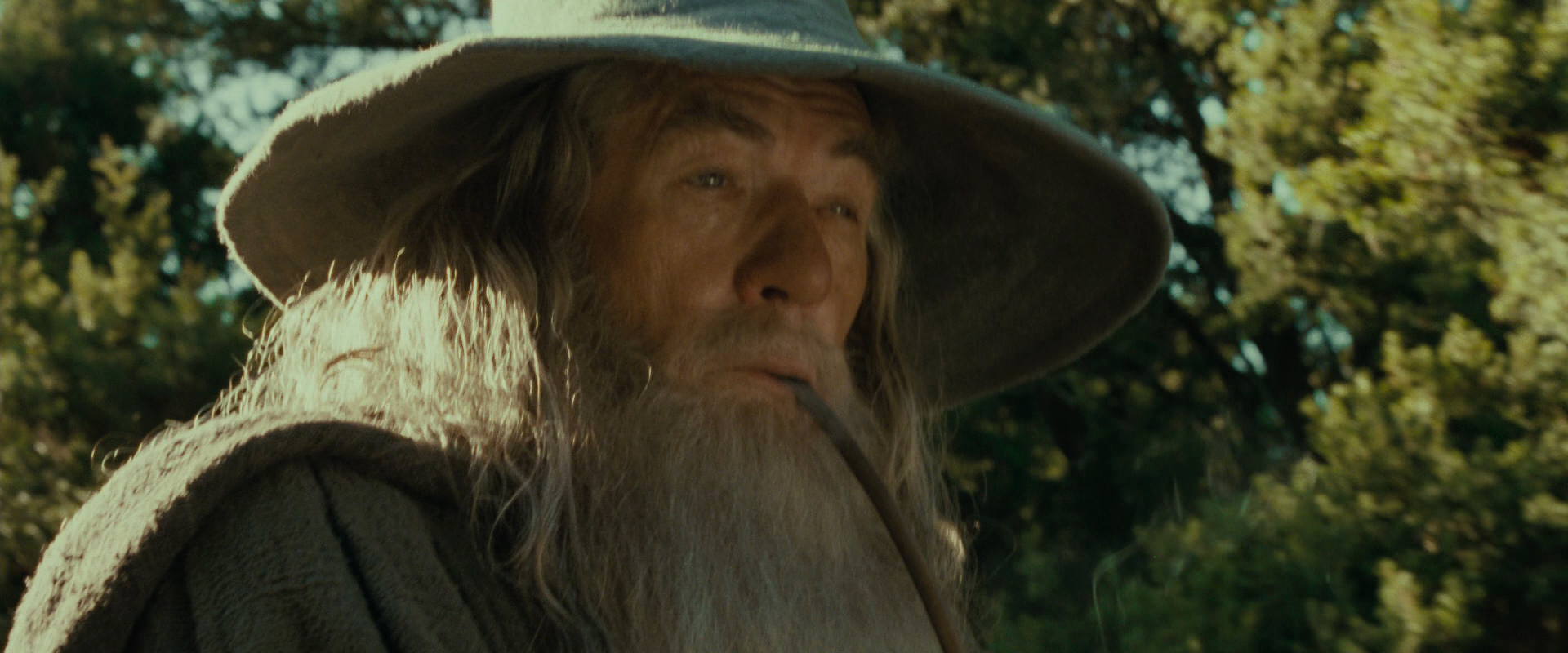 The Lord of the Rings: The Fellowship of the Ring (2001) screencap 1395