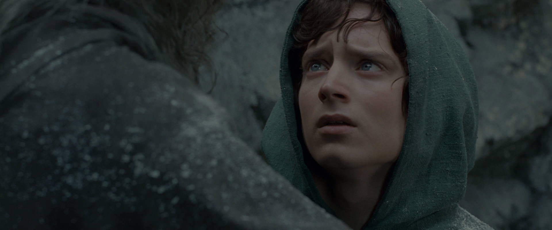 The Lord of the Rings: The Fellowship of the Ring (2001) screencap 13956