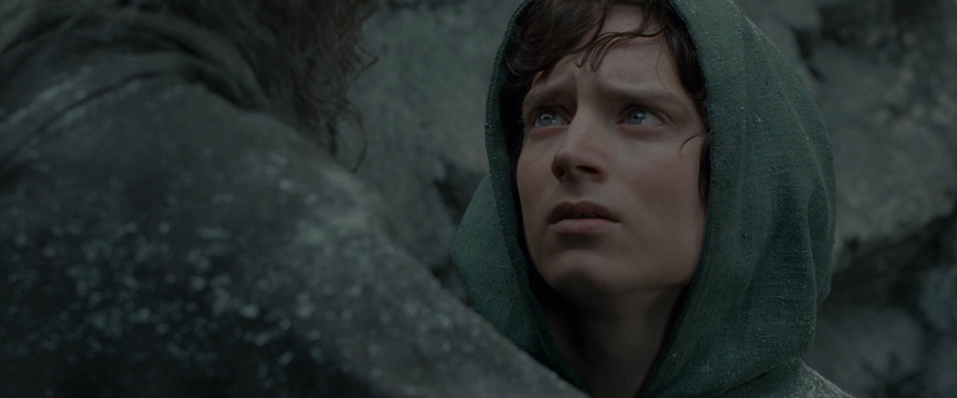 The Lord of the Rings: The Fellowship of the Ring (2001) movie still 13957