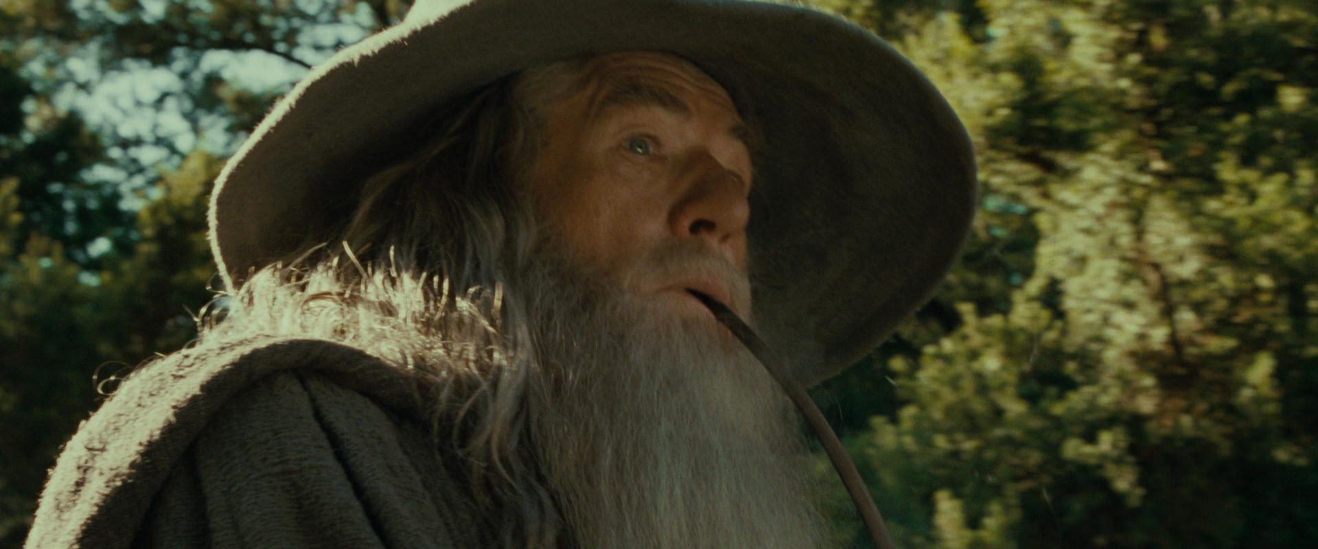 The Lord of the Rings: The Fellowship of the Ring (2001) movie still 1396