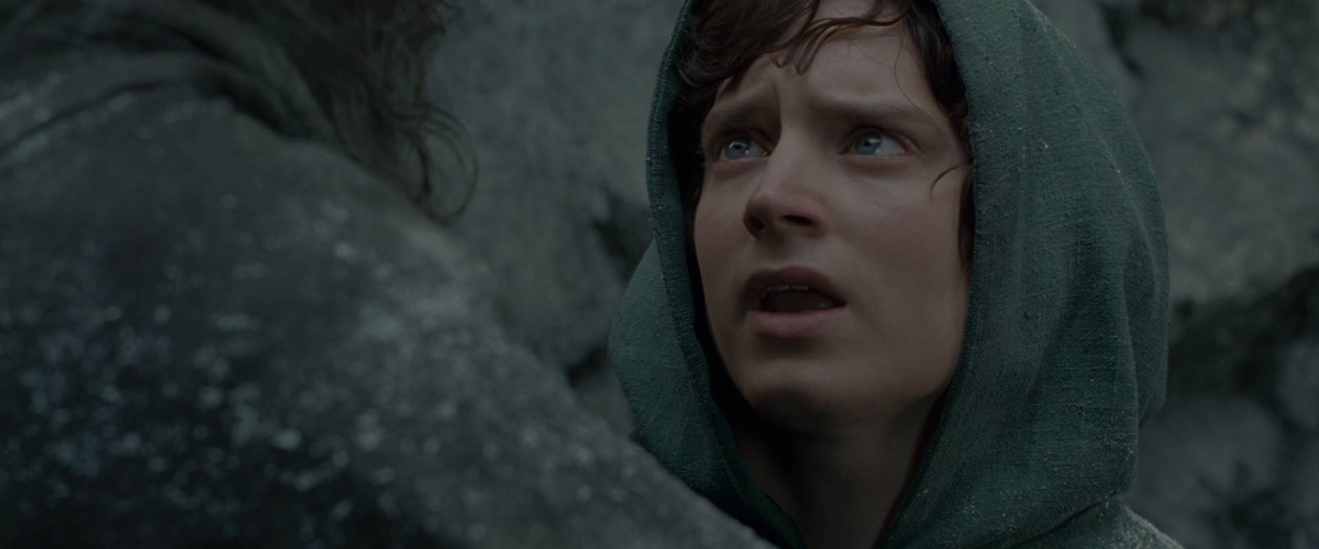 The Lord of the Rings: The Fellowship of the Ring (2001) movie still 13960