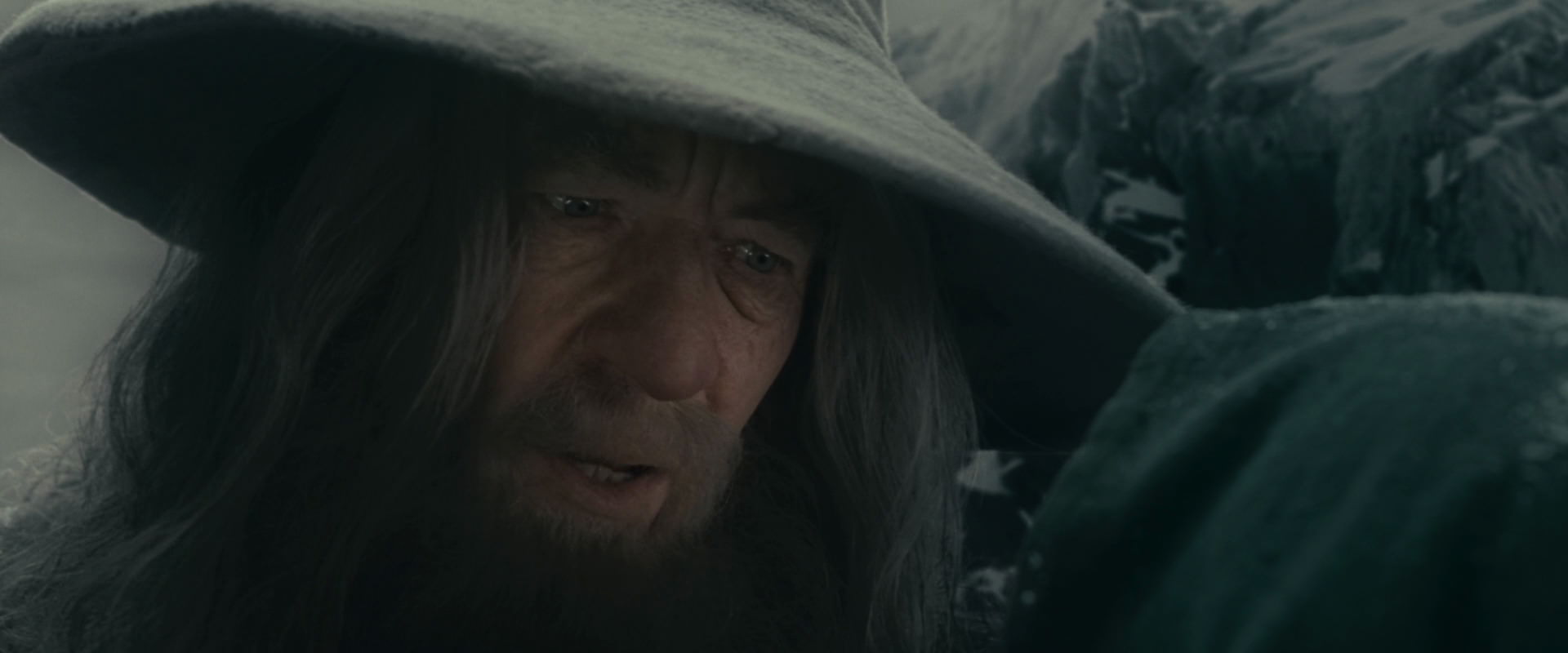 The Lord of the Rings: The Fellowship of the Ring (2001) screencap 13962