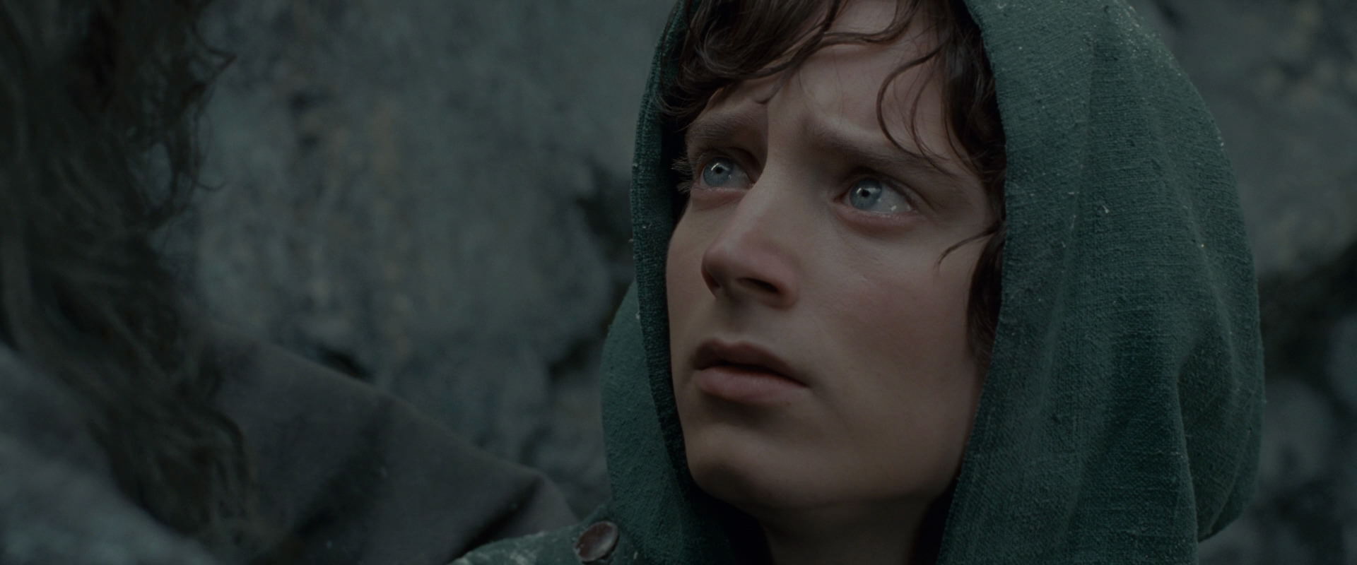 The Lord of the Rings: The Fellowship of the Ring (2001) screencap 13968
