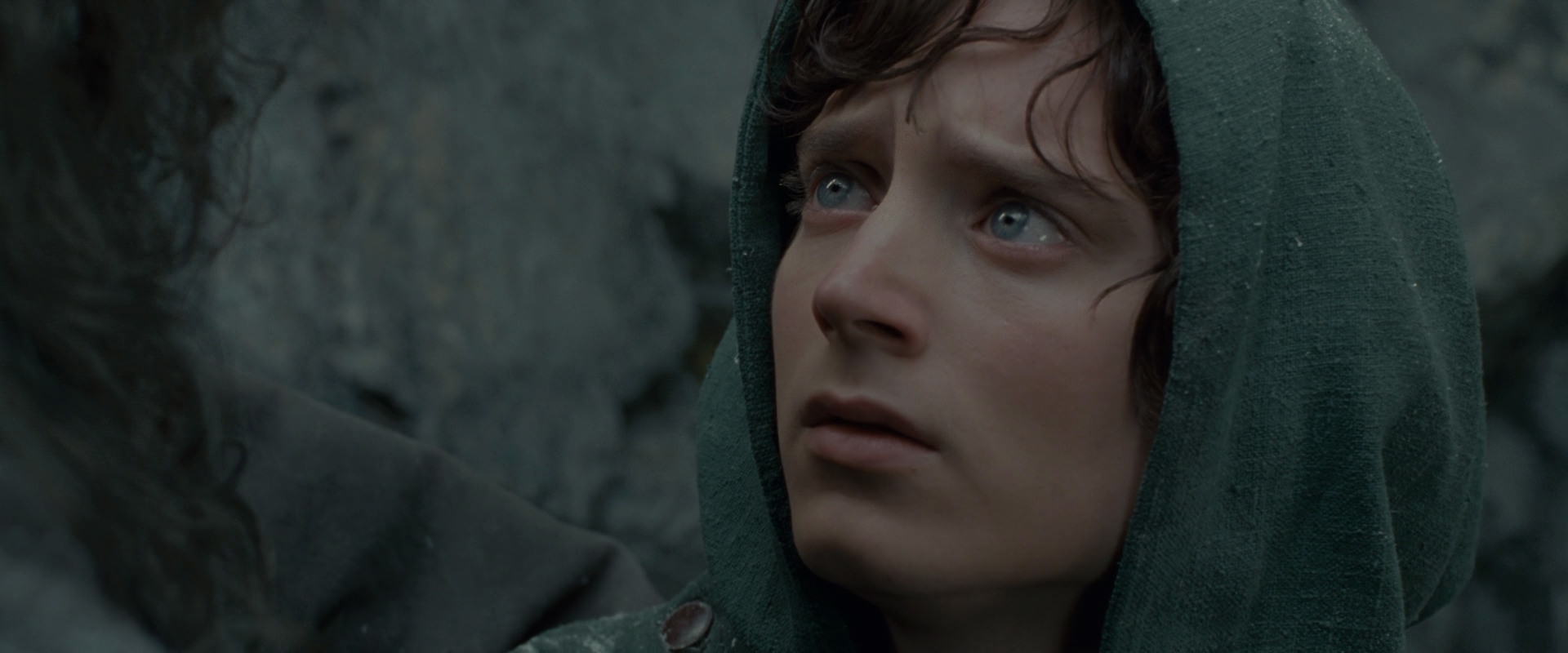 The Lord of the Rings: The Fellowship of the Ring (2001) movie still 13969