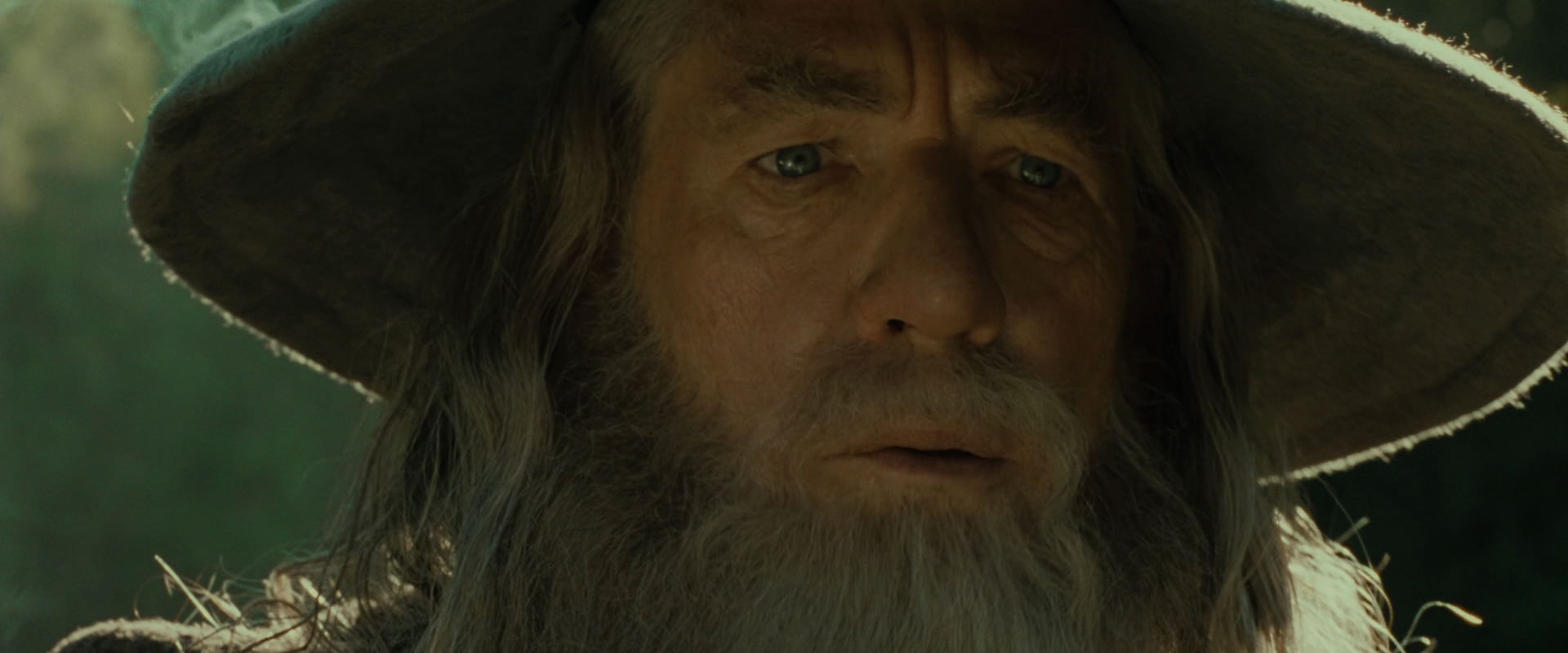 The Lord of the Rings: The Fellowship of the Ring (2001) HD screenshot 1397