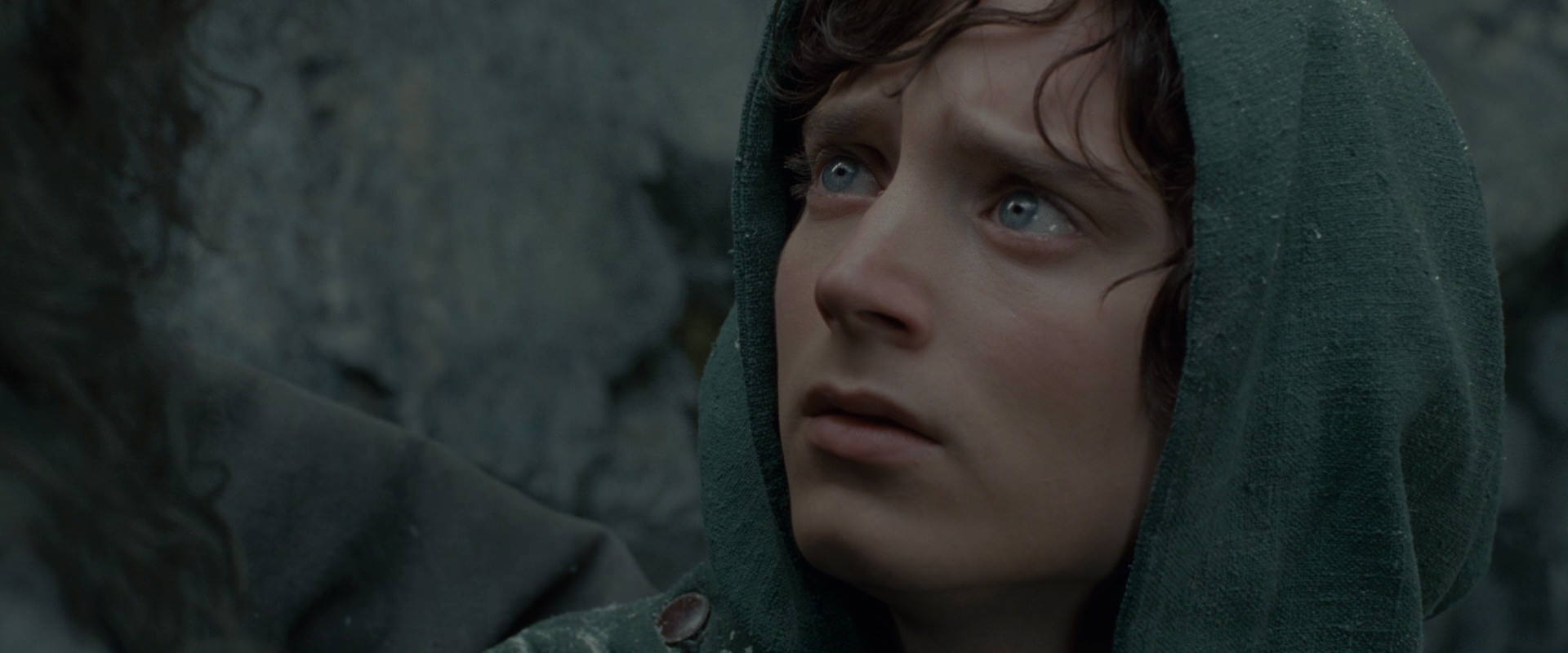 The Lord of the Rings: The Fellowship of the Ring (2001) HD screenshot 13970