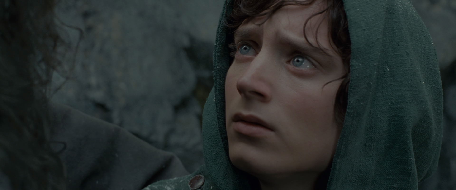The Lord of the Rings: The Fellowship of the Ring (2001) screencap 13971