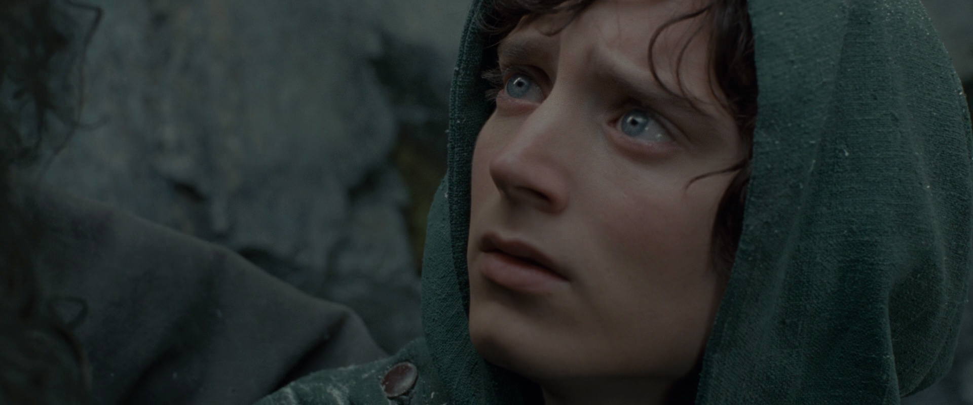 The Lord of the Rings: The Fellowship of the Ring (2001) screencap 13974