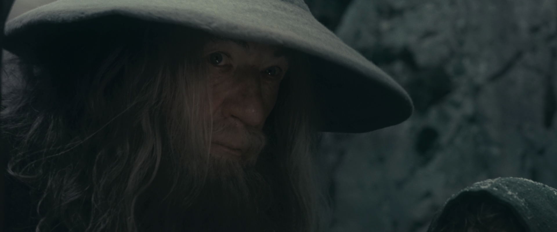 The Lord of the Rings: The Fellowship of the Ring (2001) screencap 13989