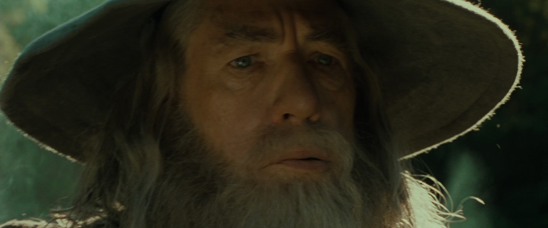 The Lord of the Rings: The Fellowship of the Ring (2001) movie still 1399