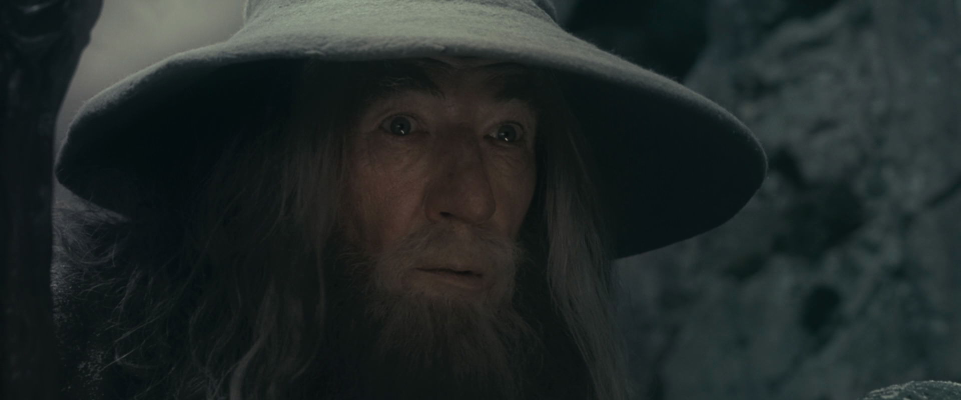 The Lord of the Rings: The Fellowship of the Ring (2001) HD screenshot 13991
