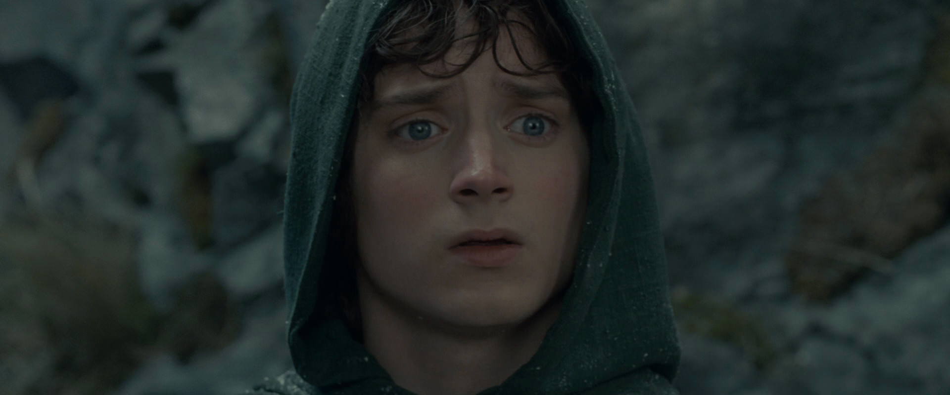 The Lord of the Rings: The Fellowship of the Ring (2001) screencap 13992