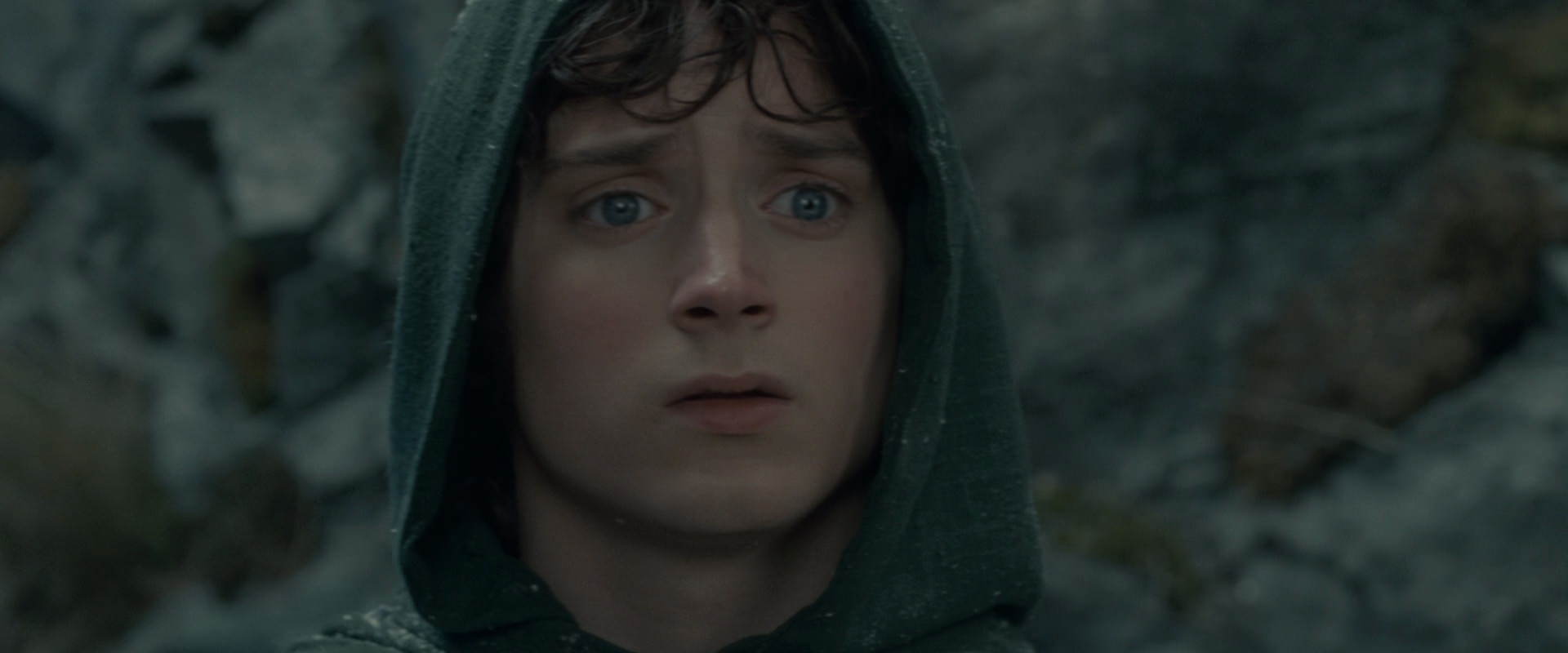 The Lord of the Rings: The Fellowship of the Ring (2001) movie still 13993