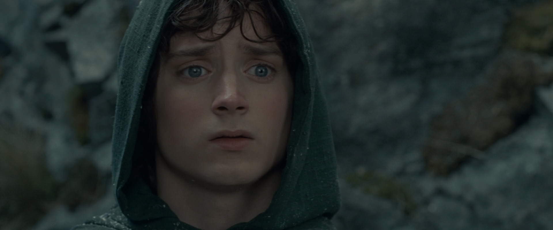 The Lord of the Rings: The Fellowship of the Ring (2001) HD screenshot 13994