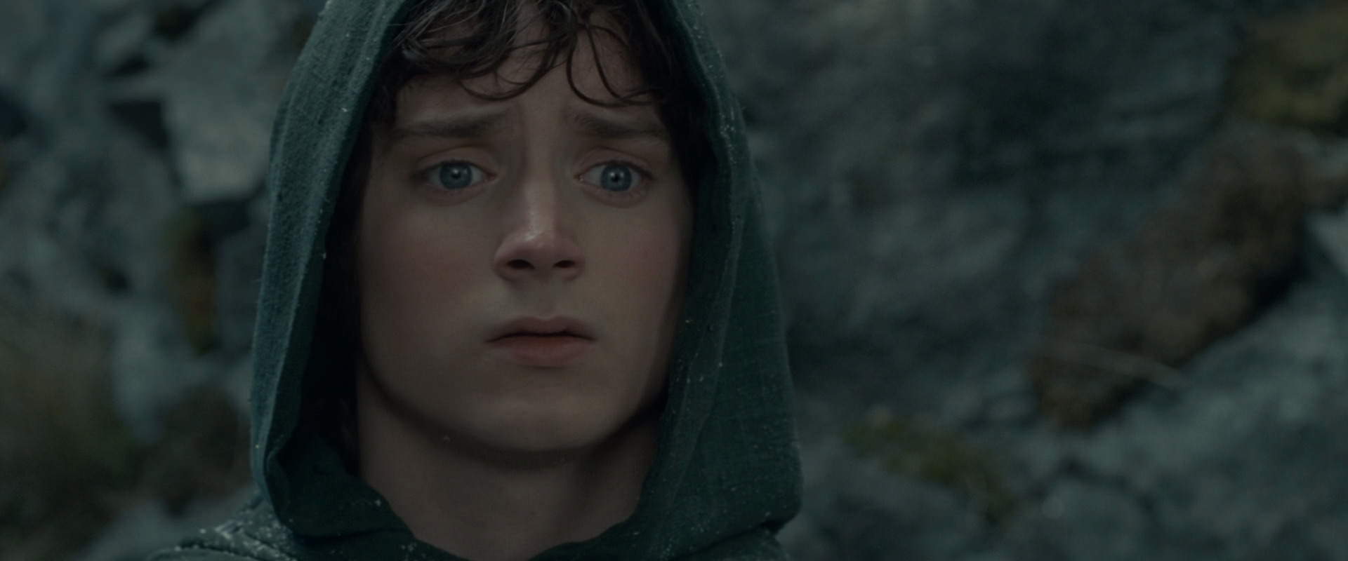 The Lord of the Rings: The Fellowship of the Ring (2001) screencap 13995