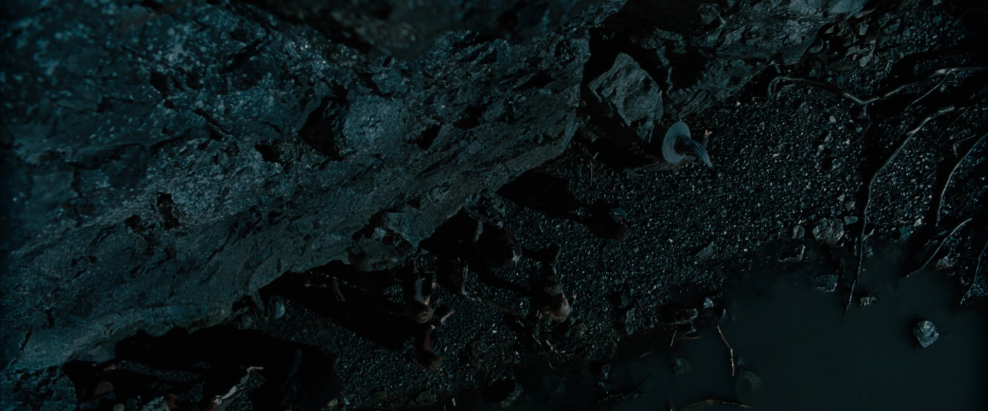 The Lord of the Rings: The Fellowship of the Ring (2001) screencap 14013