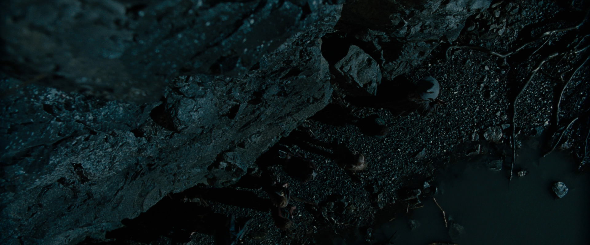 The Lord of the Rings: The Fellowship of the Ring (2001) movie still 14017