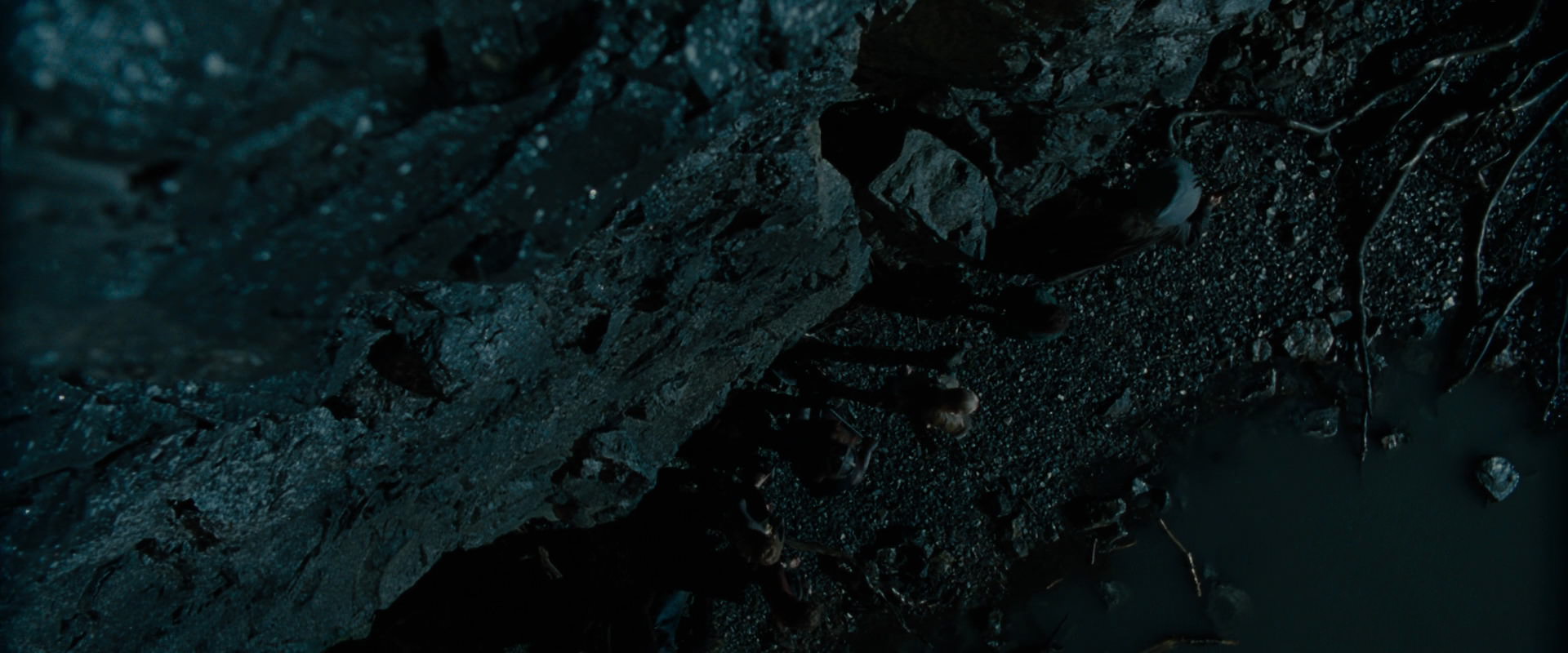 The Lord of the Rings: The Fellowship of the Ring (2001) screencap 14019