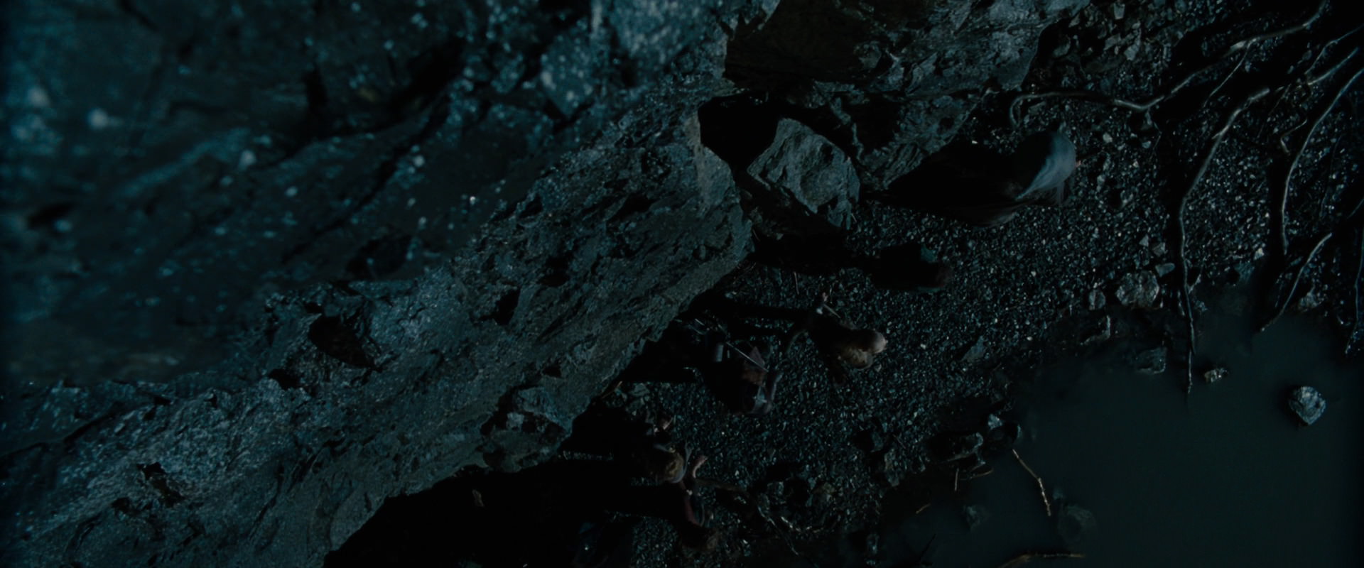 The Lord of the Rings: The Fellowship of the Ring (2001) movie still 14020