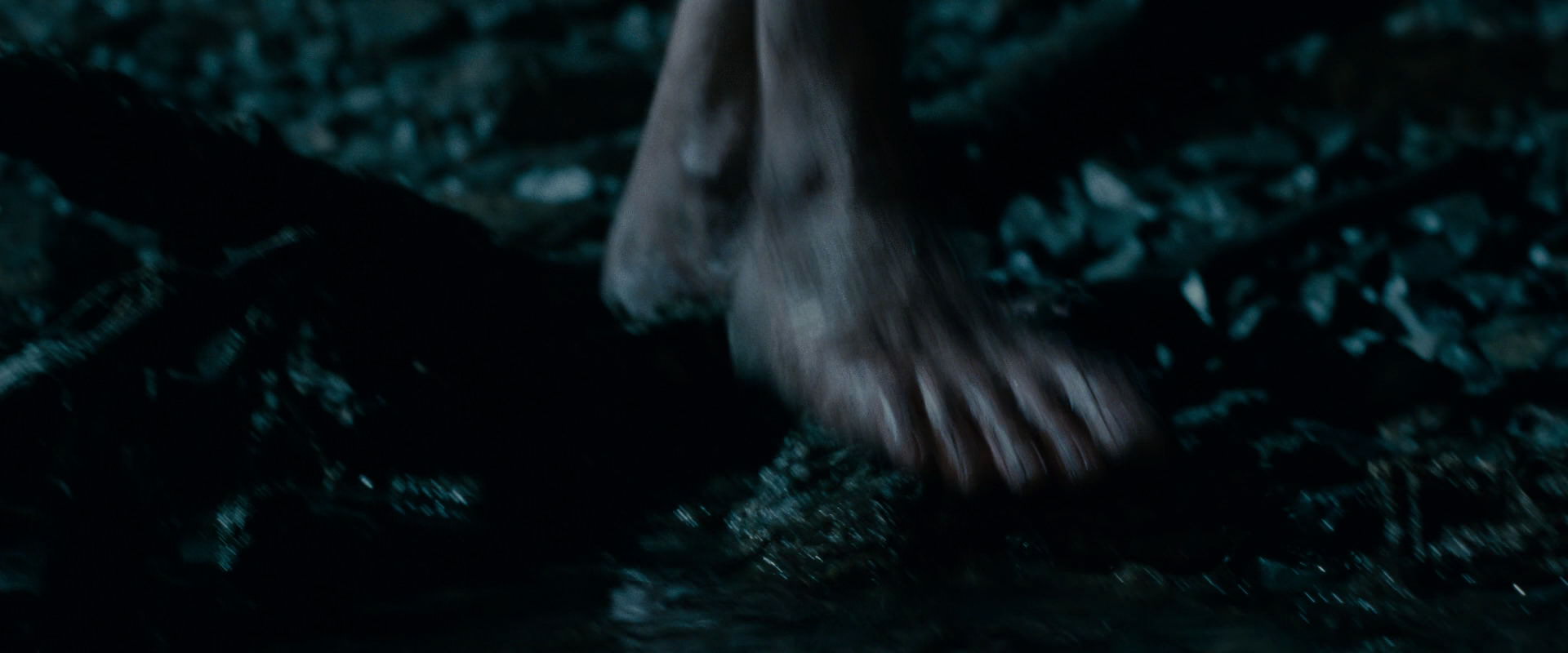 The Lord of the Rings: The Fellowship of the Ring (2001) movie still 14029