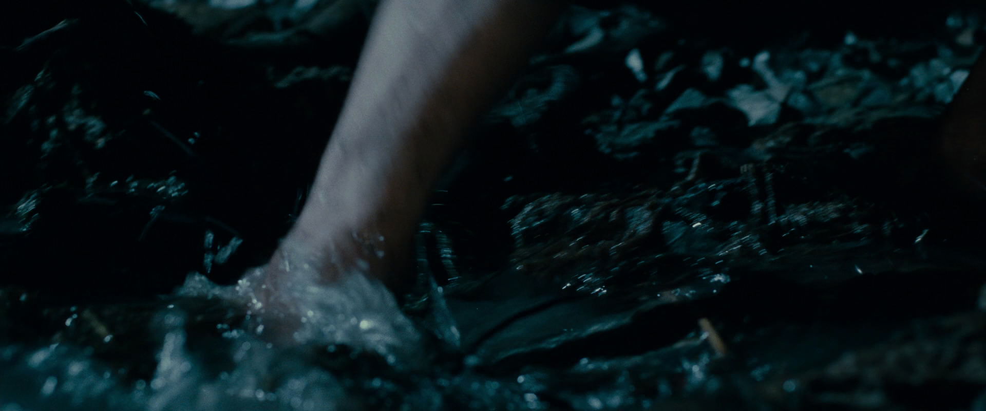 The Lord of the Rings: The Fellowship of the Ring (2001) HD screenshot 14030
