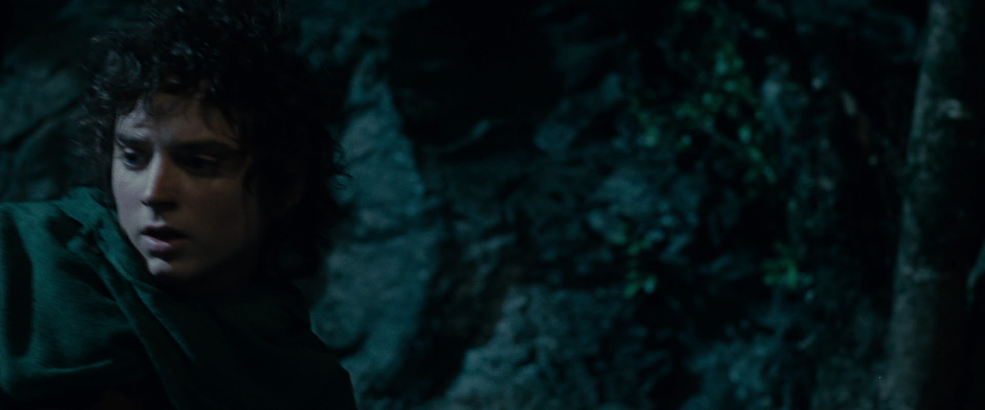 The Lord of the Rings: The Fellowship of the Ring (2001) movie still 14032