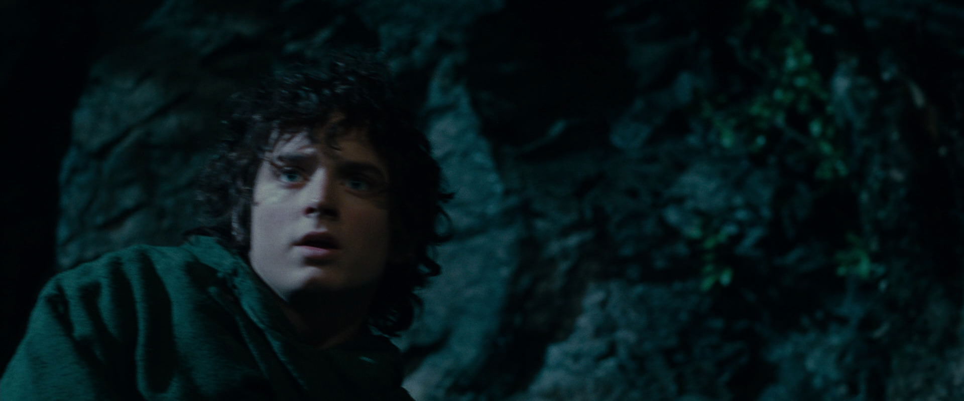 The Lord of the Rings: The Fellowship of the Ring (2001) HD screenshot 14033