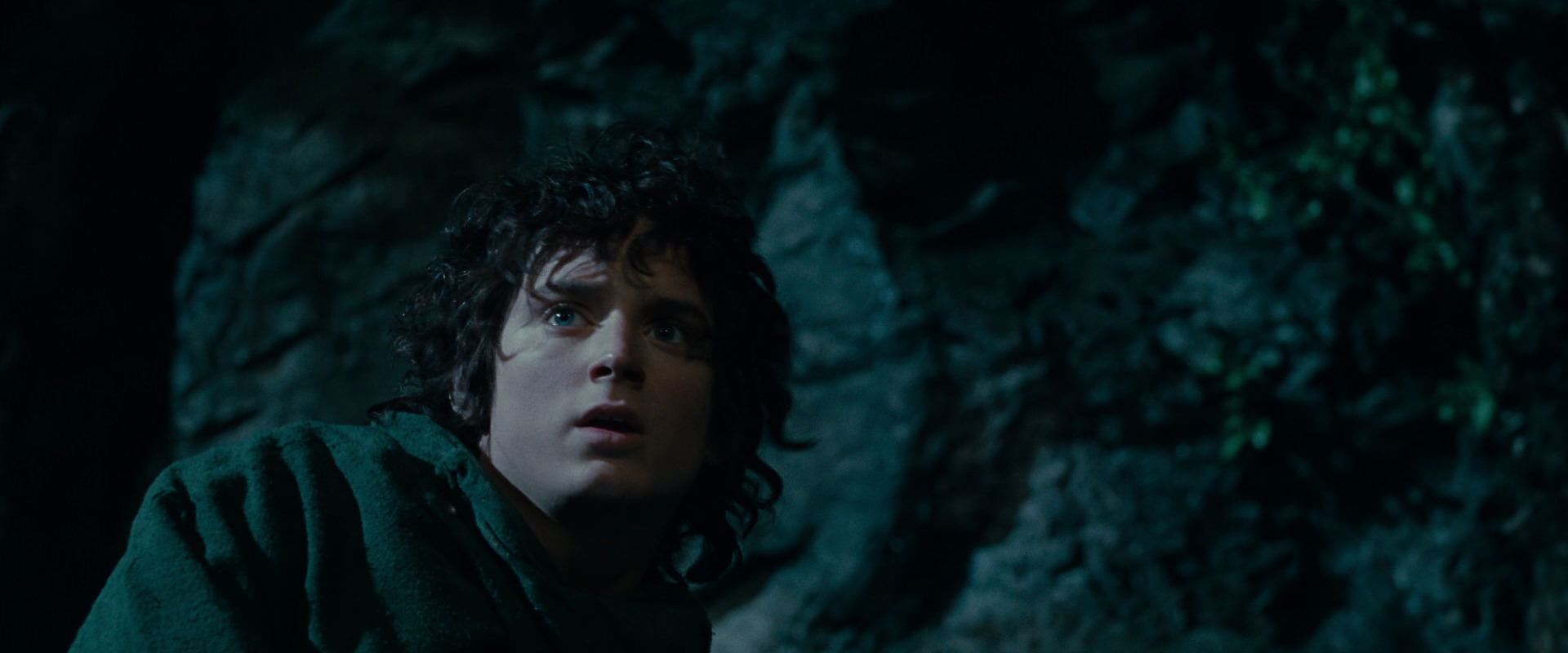 The Lord of the Rings: The Fellowship of the Ring (2001) screencap 14034