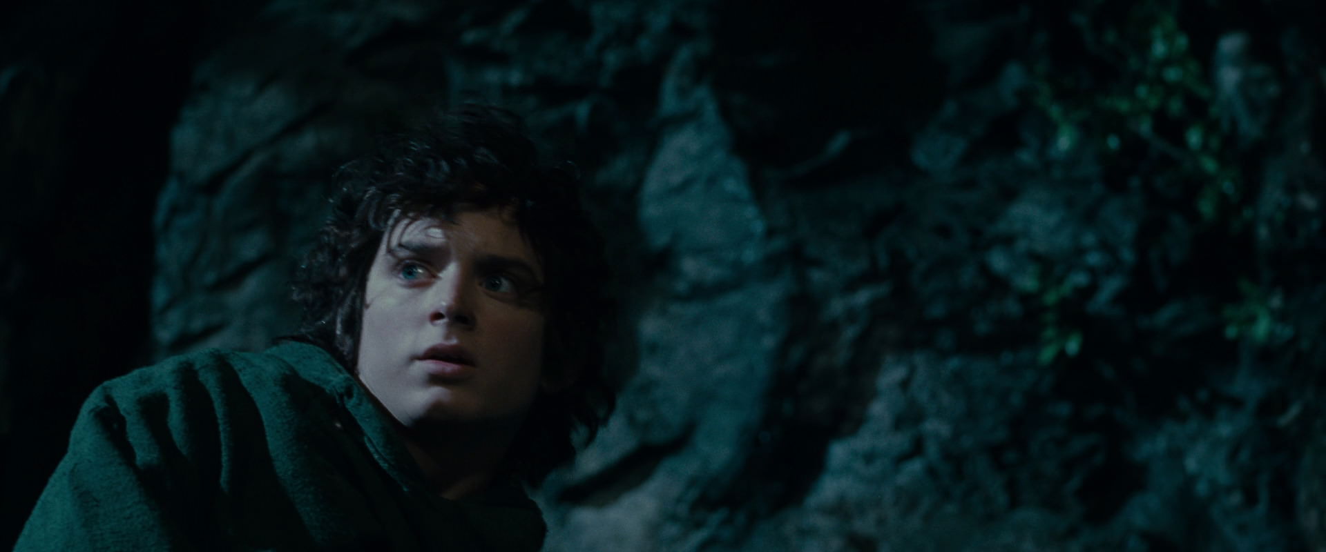 The Lord of the Rings: The Fellowship of the Ring (2001) movie still 14035