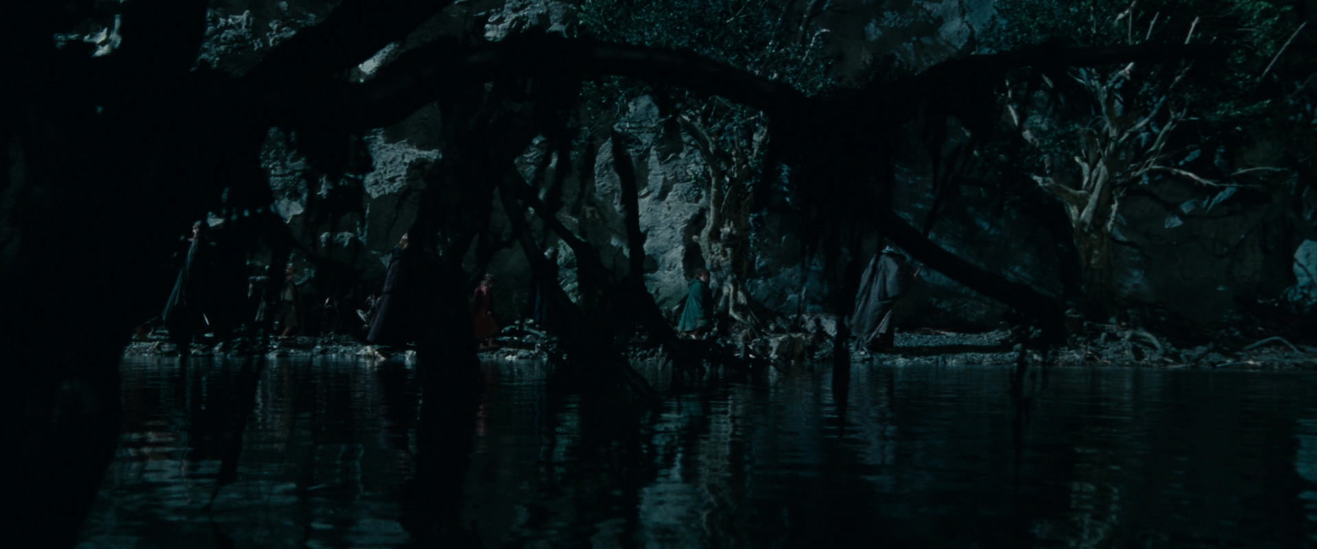 The Lord of the Rings: The Fellowship of the Ring (2001) movie still 14038