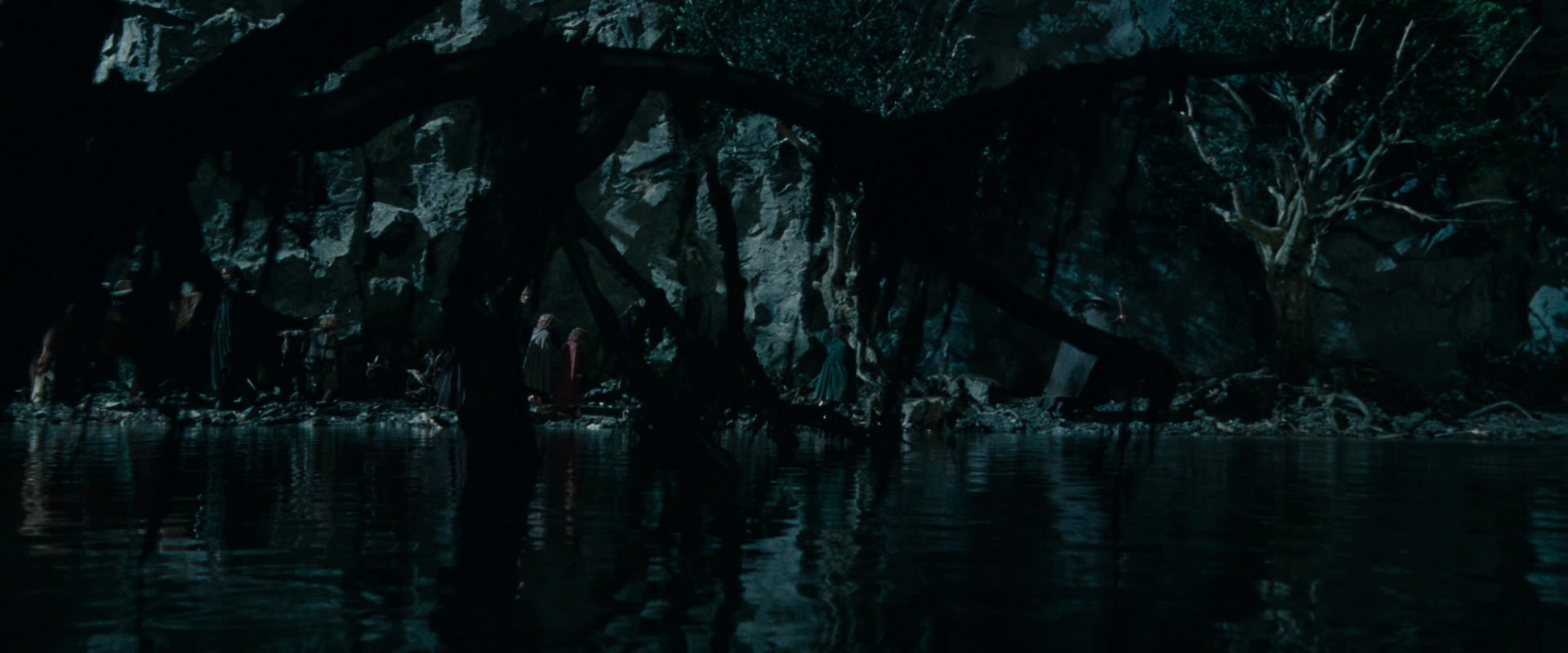 The Lord of the Rings: The Fellowship of the Ring (2001) HD screenshot 14039