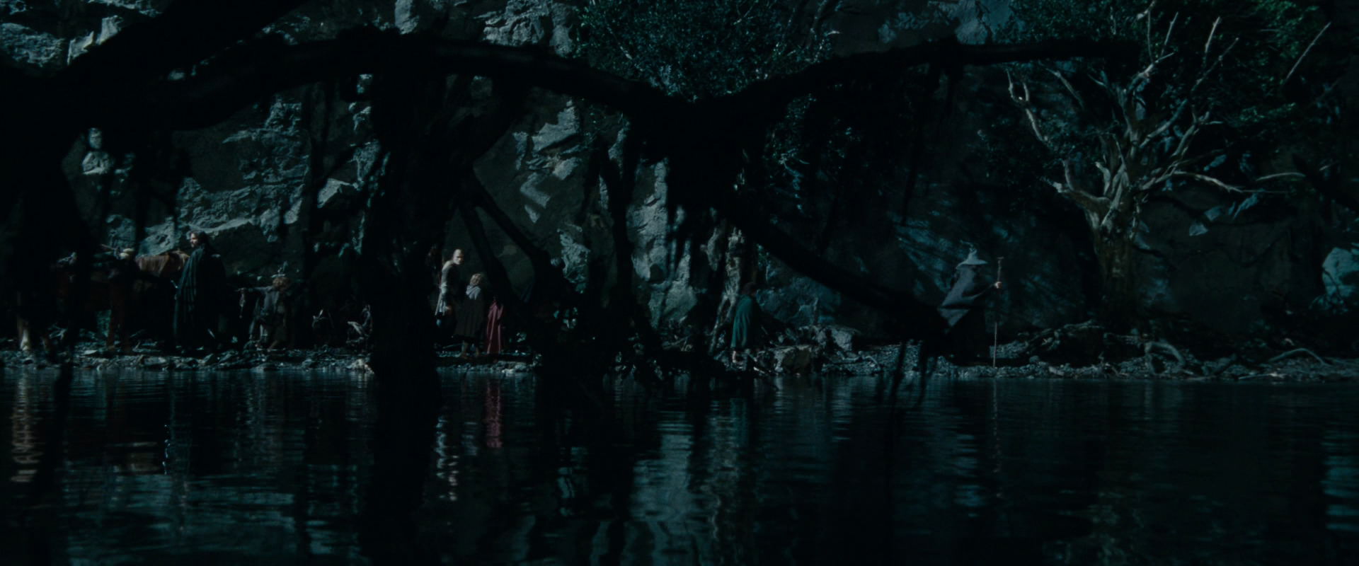 The Lord of the Rings: The Fellowship of the Ring (2001) screencap 14040