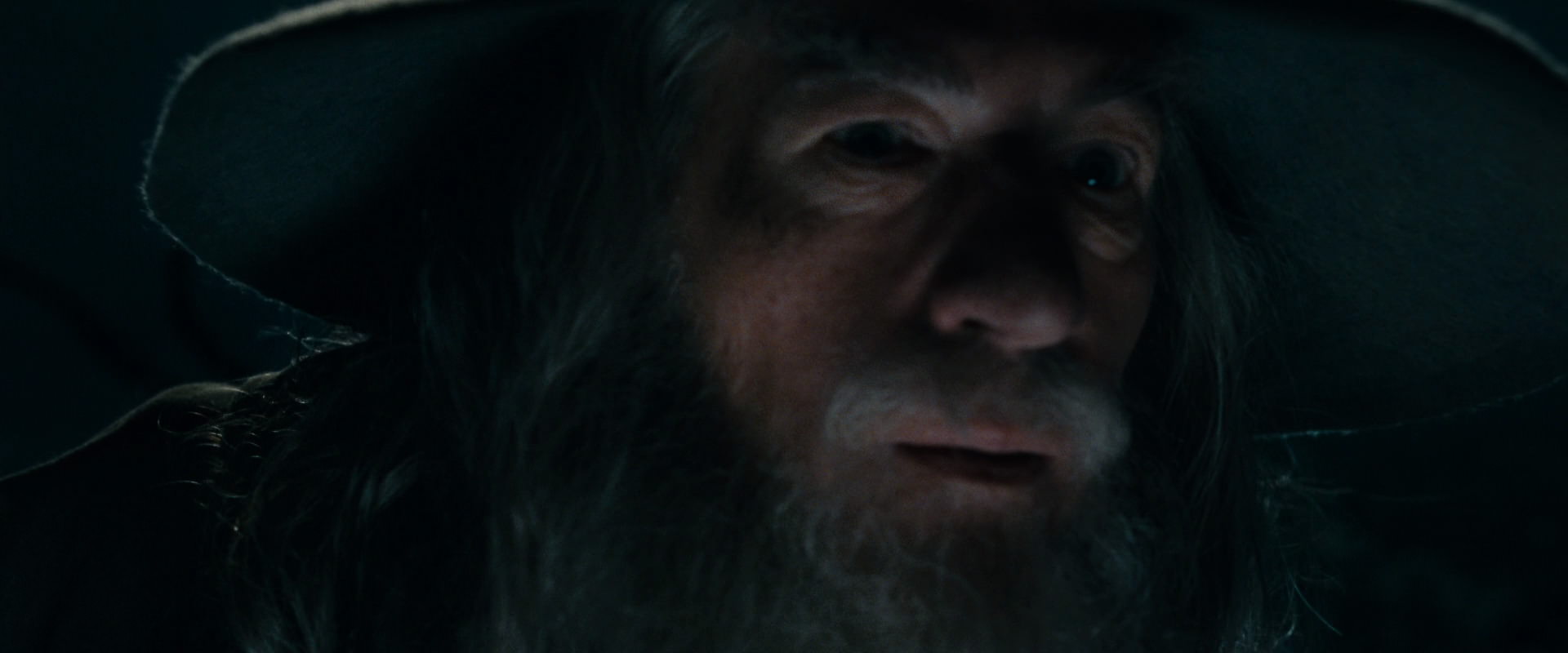 The Lord of the Rings: The Fellowship of the Ring (2001) screencap 14049