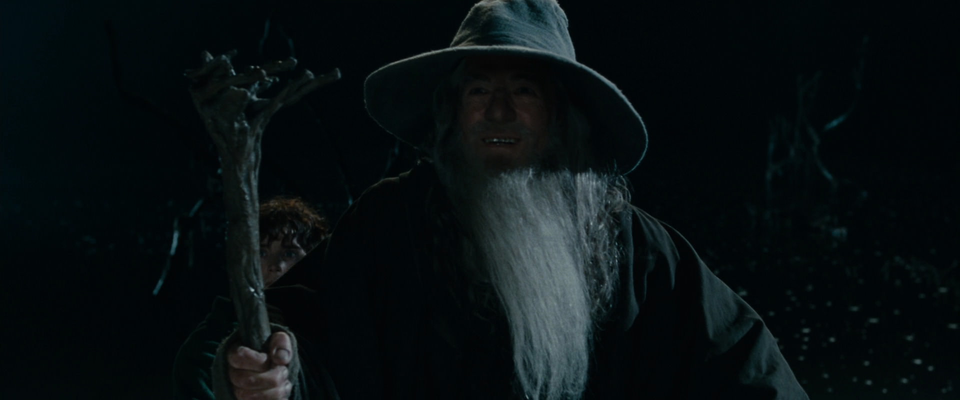 The Lord of the Rings: The Fellowship of the Ring (2001) HD screenshot 14081